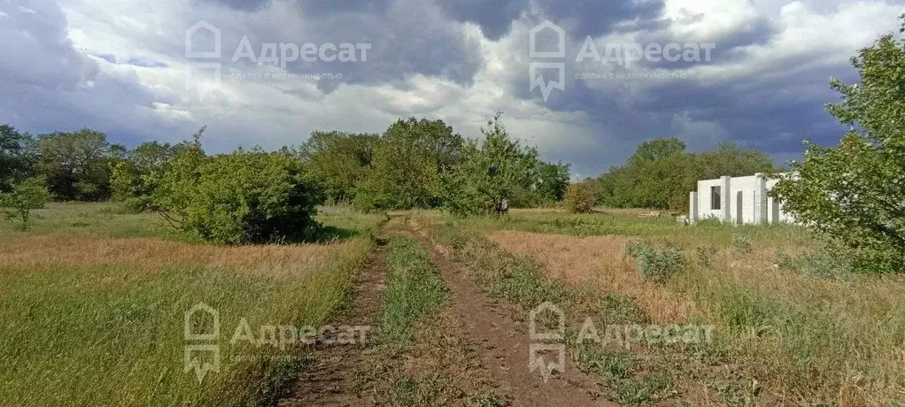 Участок в Волгоградская область, Краснослободск Среднеахтубинский ... - Фото 1