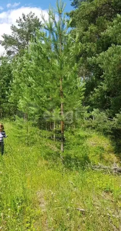 Участок в Татарстан, Казань Извилистый пер., 13 (15.1 сот.) - Фото 0