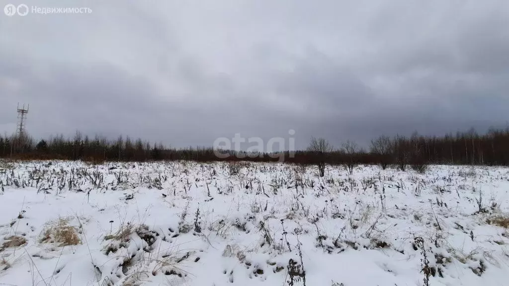 Участок в Свердловская область, Нижняя Салда (22.2 м) - Фото 0