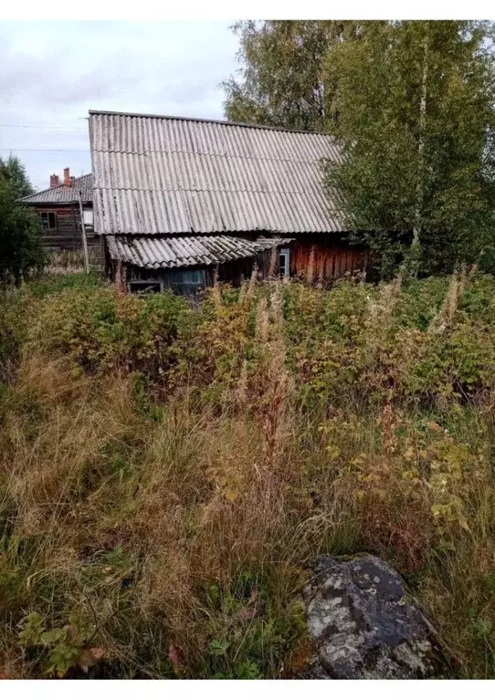 Помещение свободного назначения в Карелия, Сегежский муниципальный ... - Фото 0