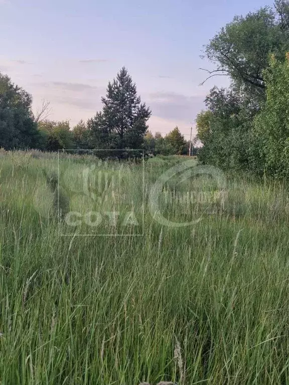 Участок 20 сот. (ИЖС) - Фото 0
