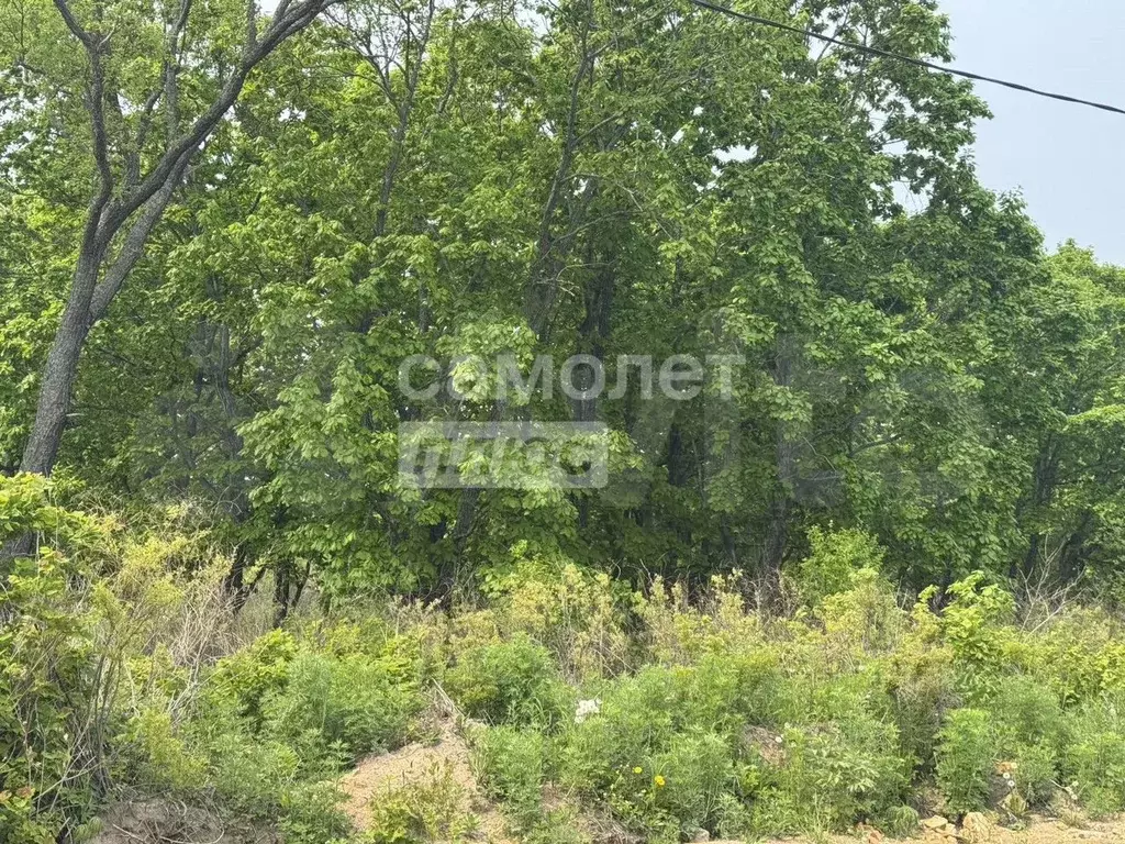 Участок 18,9 сот. (ИЖС) - Фото 1