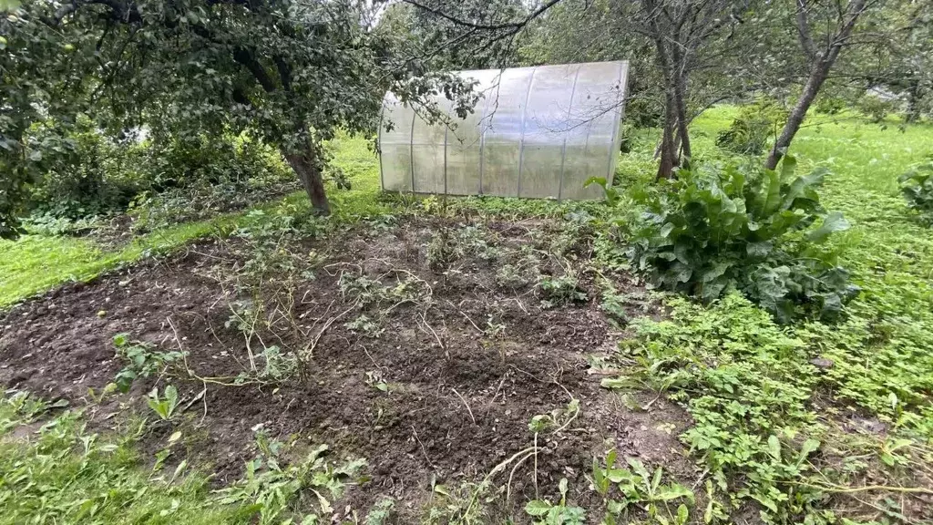 Участок в Смоленская область, Смоленск При учреждении ИЗ-64/1-УИТ СНТ, ... - Фото 1