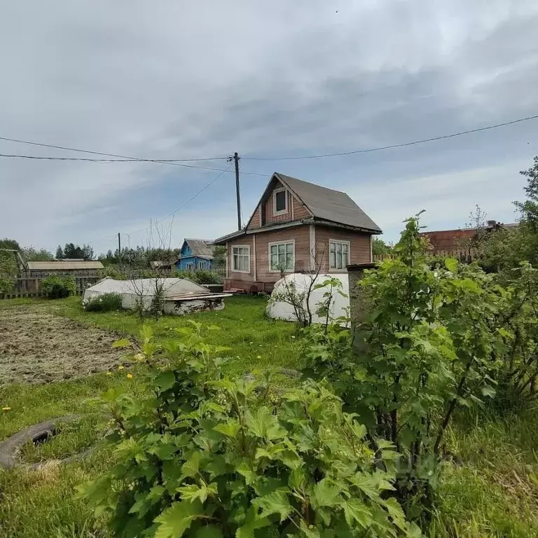 Дом в Вологодская область, Вологда Черемушки-3 садоводческое ... - Фото 1