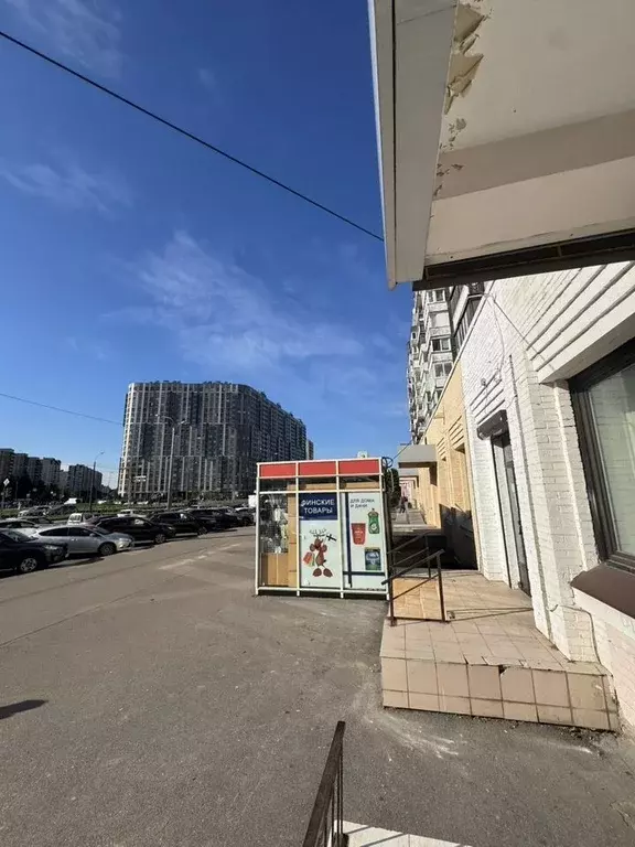Торговая площадь в Санкт-Петербург просп. Просвещения, 32К1 (23 м) - Фото 2