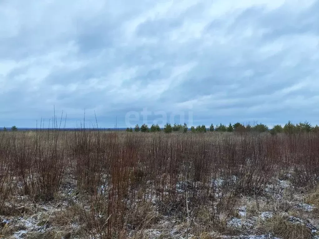 Участок в Архангельская область, Котласский муниципальный округ, д. ... - Фото 1