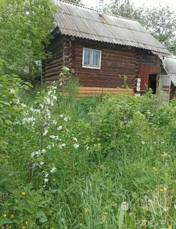 Дом в Пермский край, д. Большая Мось ул. Центральная, 23 (12 м) - Фото 1