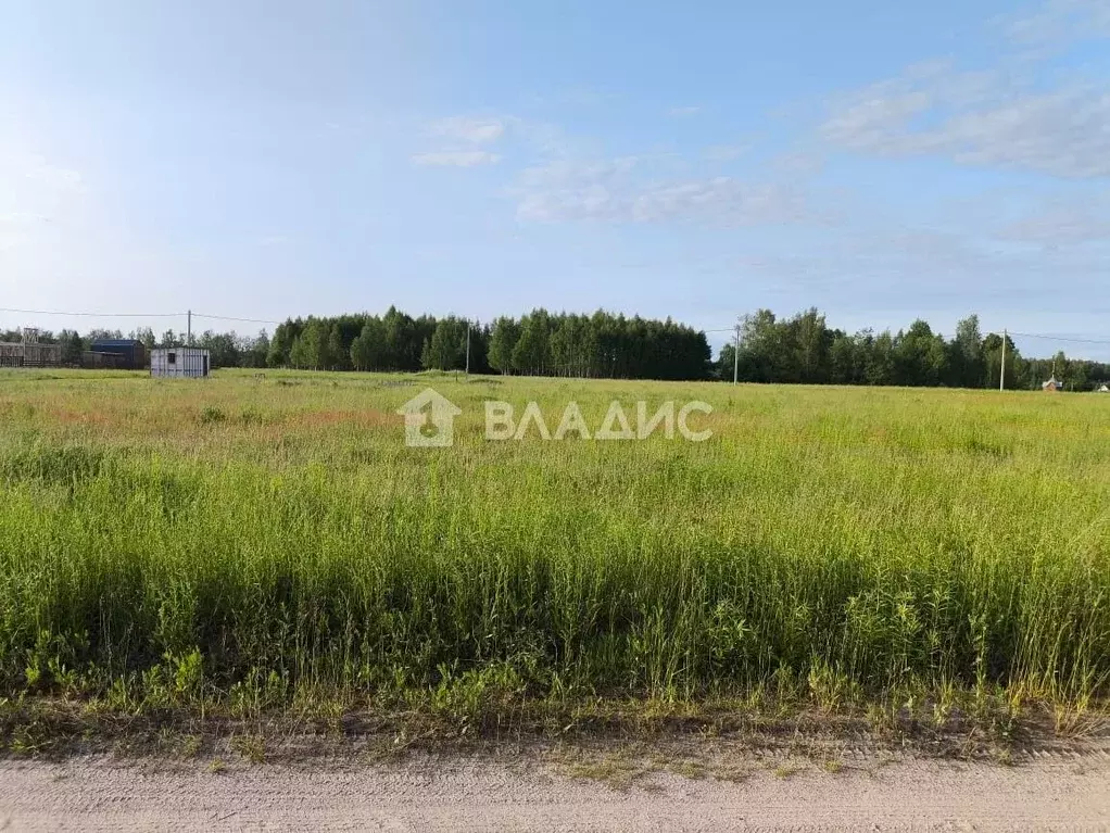Участок в Ивановская область, Ивановский район, Балахонковское с/пос, ... - Фото 1