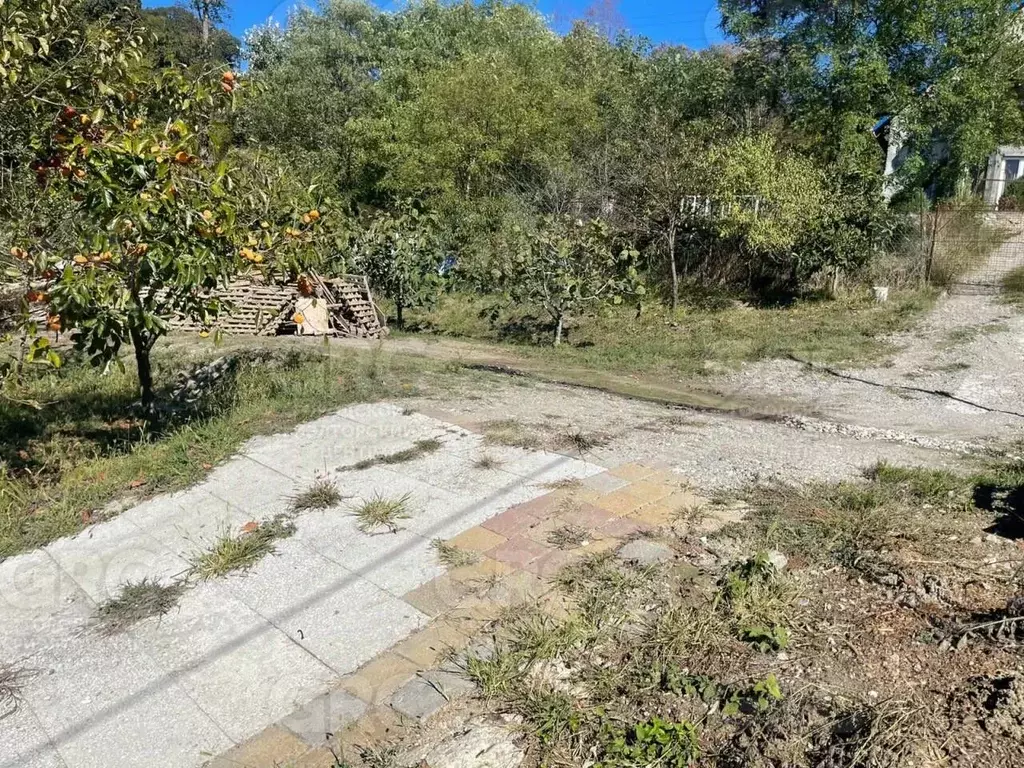 Участок в Краснодарский край, Сочи ул. Тимирязева (5.0 сот.) - Фото 1