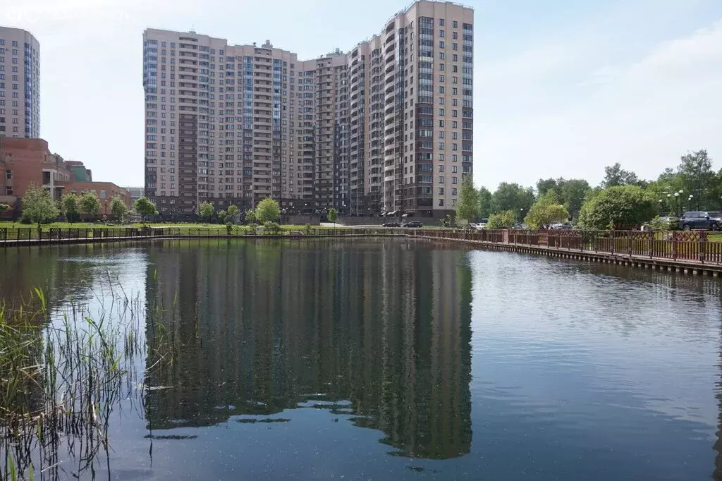 Квартира-студия: Санкт-Петербург, улица Бутлерова, 9к2 (25.7 м) - Фото 2