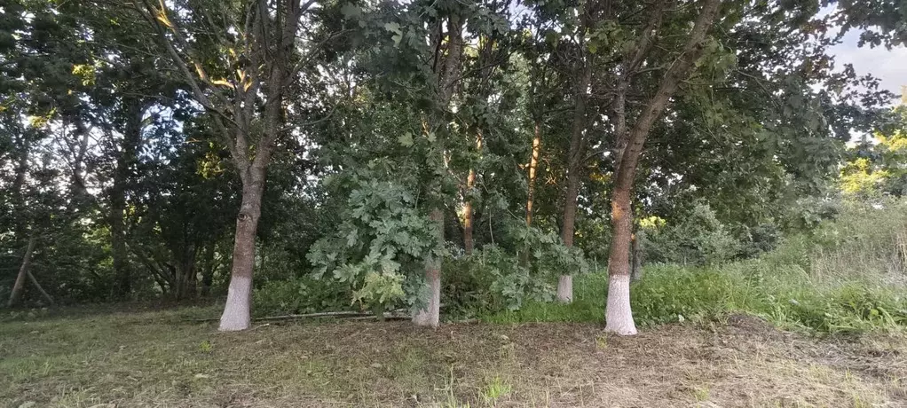 Участок в Калининградская область, Зеленоградский муниципальный округ, ... - Фото 1