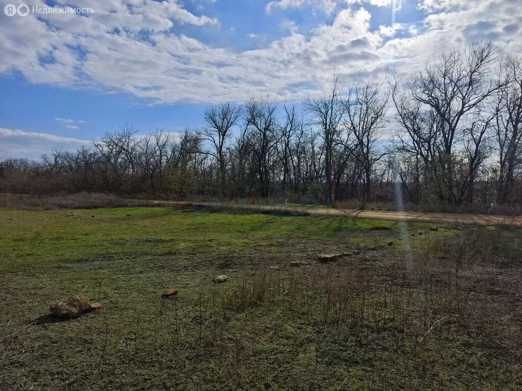 Участок в Красный, Торговая улица, 15 (4 м) - Фото 0