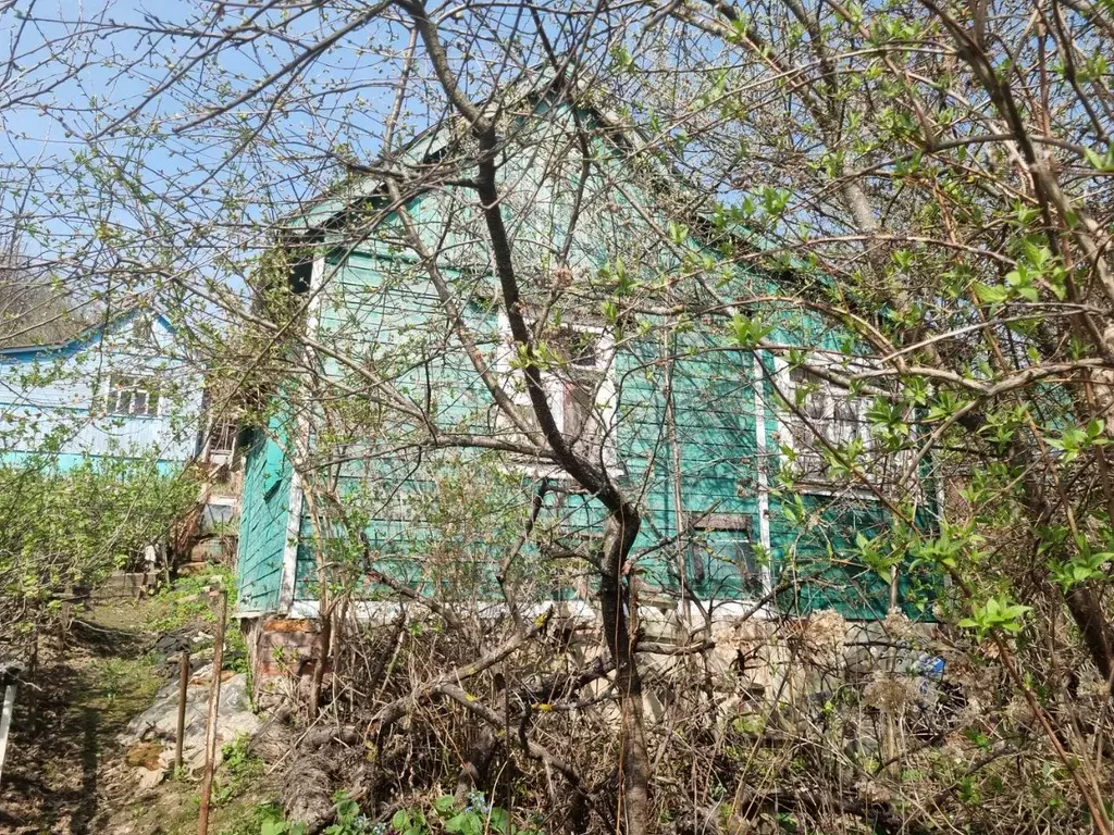 Участок в Владимирская область, Владимир сад Коллективный труд, 166 ... - Фото 1