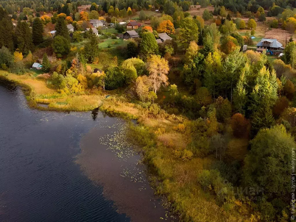 Участок в Новгородская область, Валдайский район, Рощинское с/пос, д. ... - Фото 1