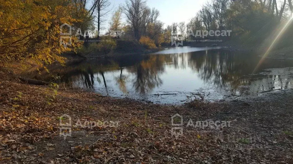 Участок в Волгоградская область, Среднеахтубинский район, Куйбышевское ... - Фото 1