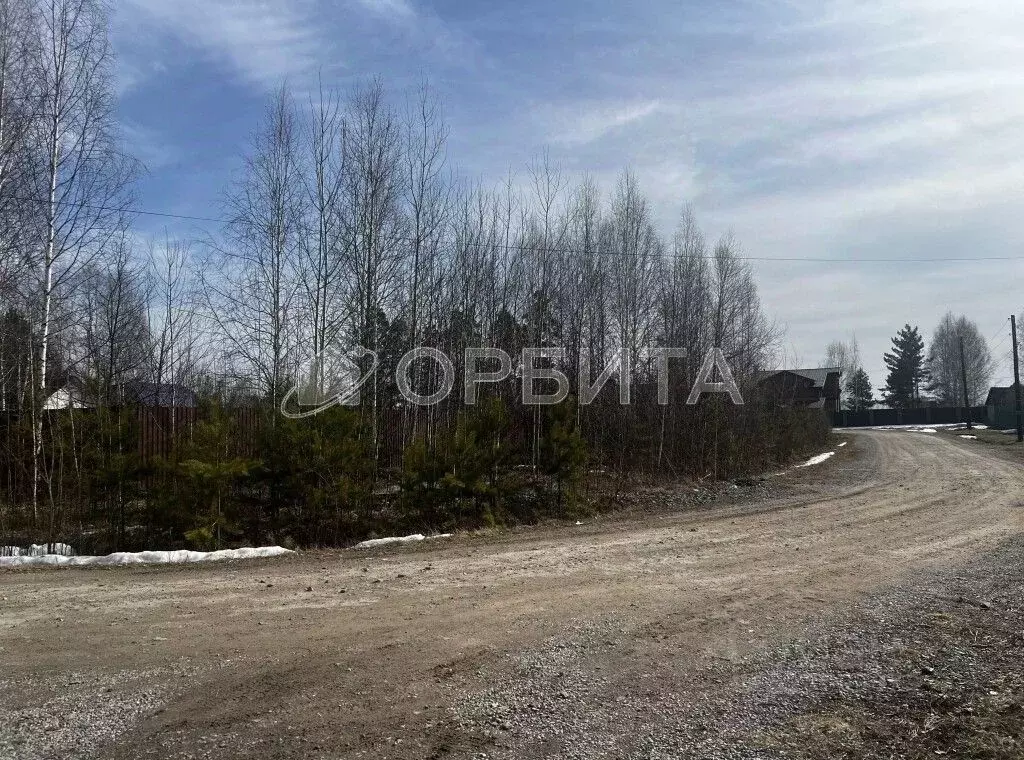 Участок в Тюменская область, Нижнетавдинский район, с. Тюнево ул. ... - Фото 1