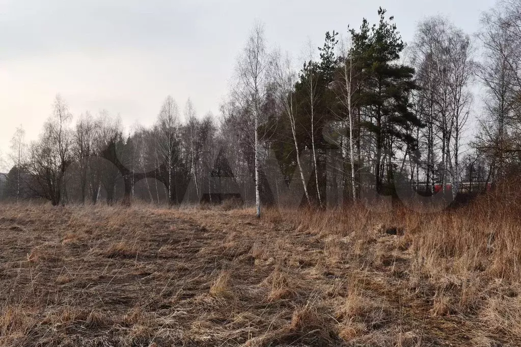 Участок 30 сот. (ИЖС) - Фото 0