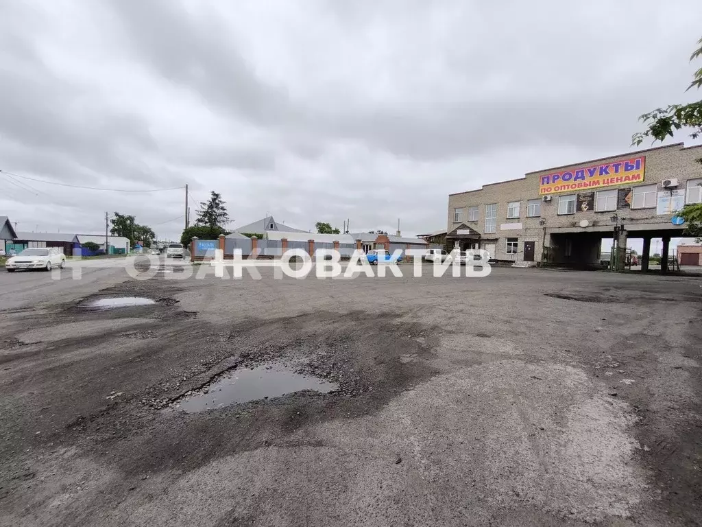 Помещение свободного назначения в Новосибирская область, Карасук ... - Фото 0