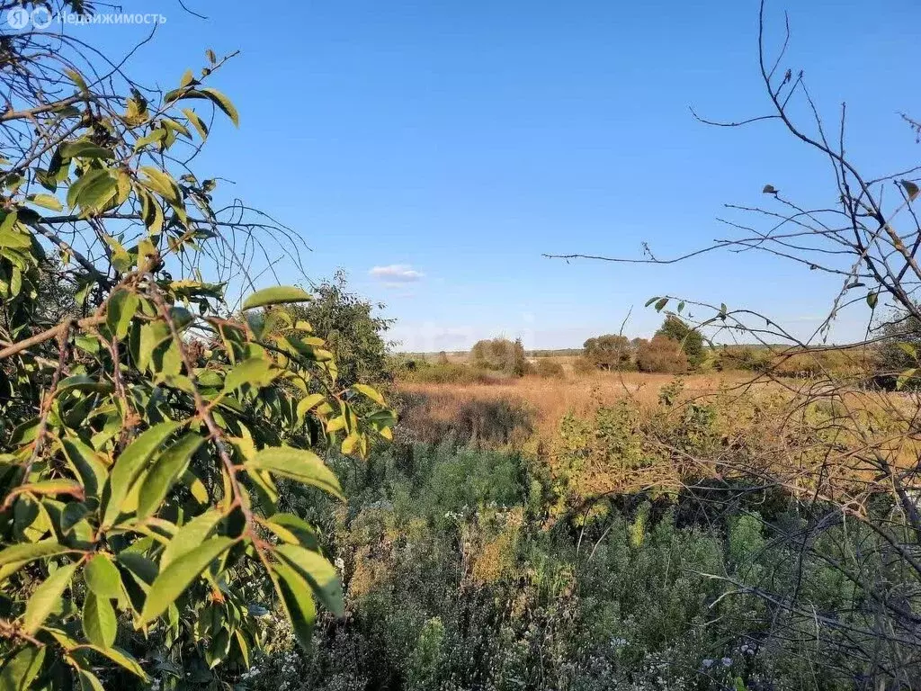 Участок в село Беломестное, Центральная улица (41.5 м) - Фото 1