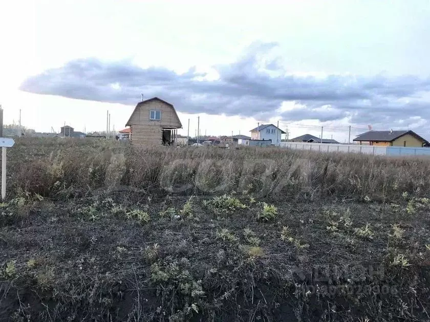 Участок в Тюменская область, Тюменский район, д. Малиновка, Малиновка ... - Фото 1