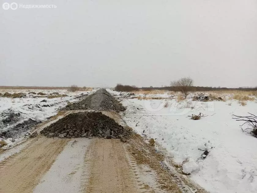 Участок в Каскаринское муниципальное образование (10 м) - Фото 0