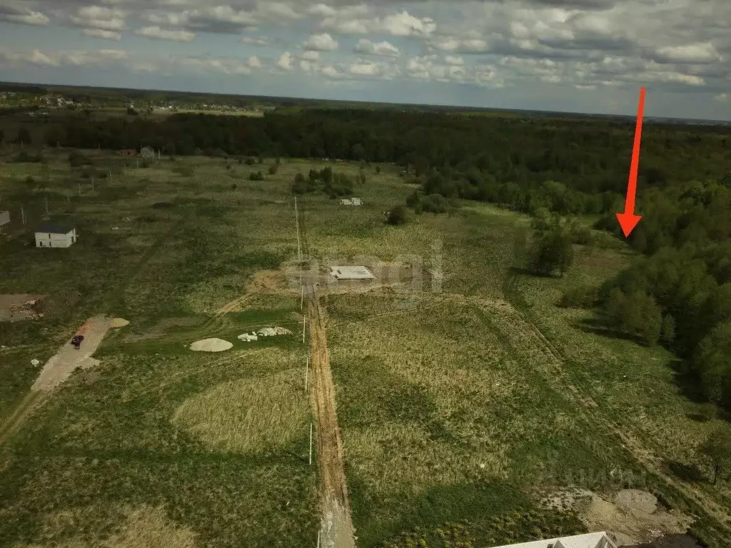 Участок в Калининградская область, Багратионовский муниципальный ... - Фото 2