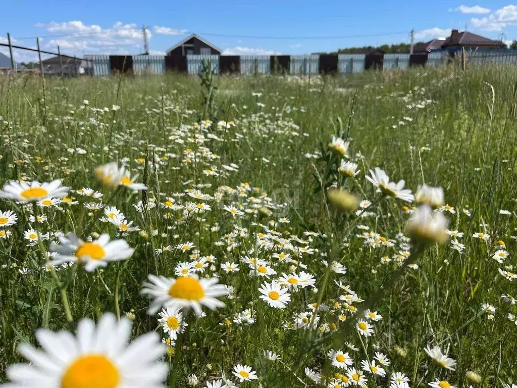 Купить Участок В Какузево Раменский Район