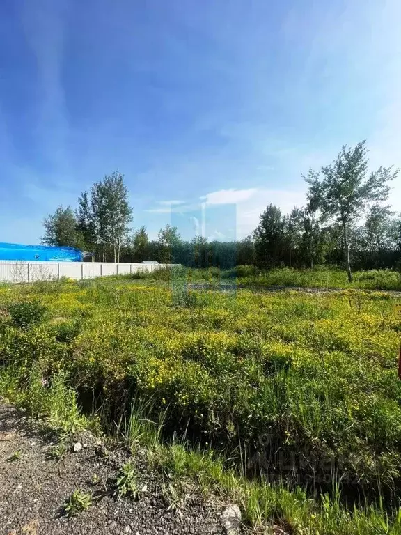 Участок в Московская область, Подольск городской округ, Новое Коледино ... - Фото 0