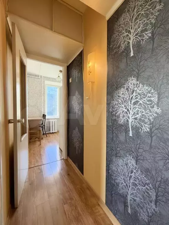 1-к. квартира, 31,1 м, 4/5 эт. - Фото 1