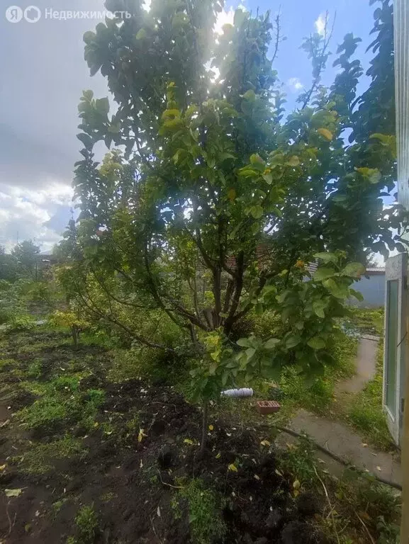 Дом в Омск, улица Воровского (20 м) - Фото 2