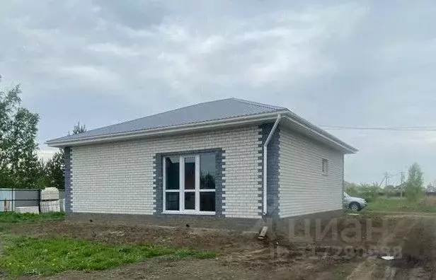 Дом в Омская область, Омский район, с. Дружино пер. Заря (85 м) - Фото 0