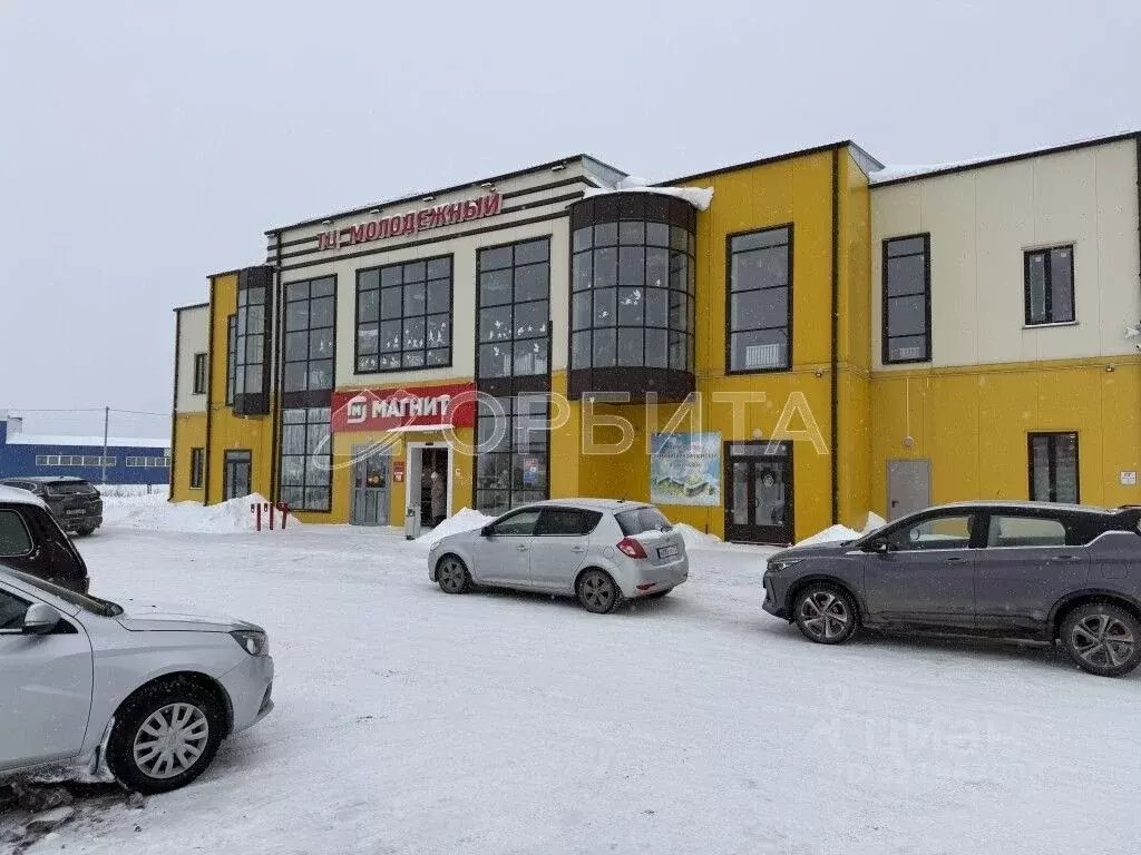 Участок в Тюменская область, Тюменский муниципальный округ, Нива СНТ ... - Фото 2