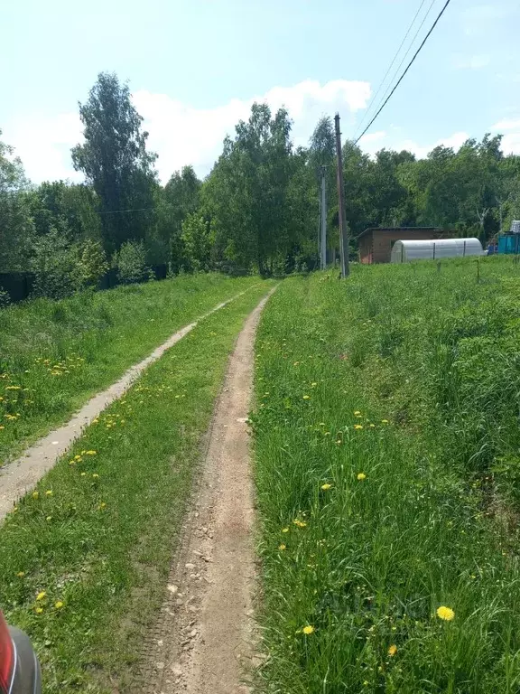 Участок в Московская область, Истра муниципальный округ, д. Мазилово ... - Фото 2