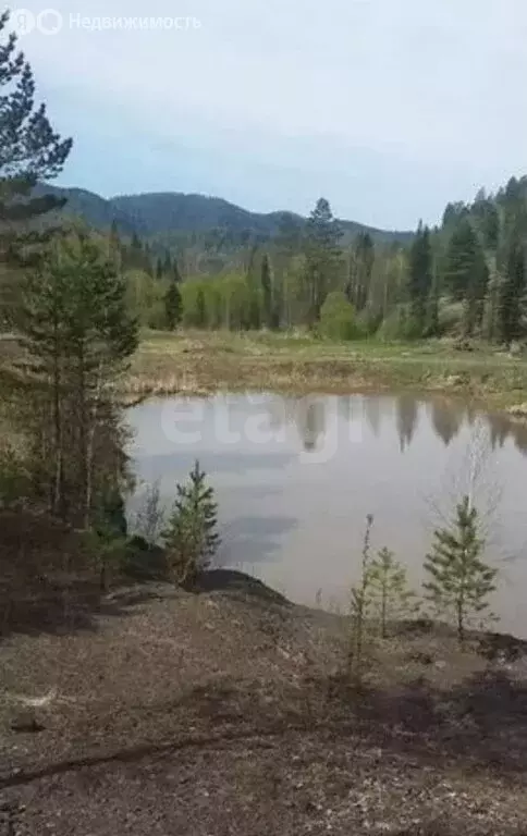 Участок в Чойский район, село Паспаул (100 м) - Фото 1