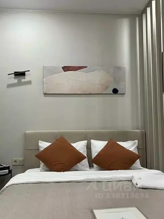 Студия Санкт-Петербург Большой Казачий пер., 4 (28.0 м) - Фото 2