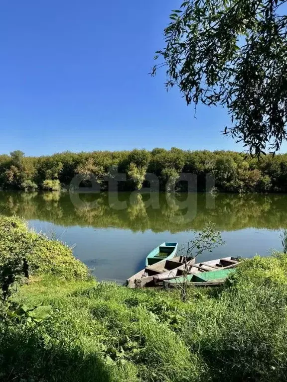 Дом в Воронежская область, Хохольский район, Гремяченское с/пос, с. ... - Фото 1