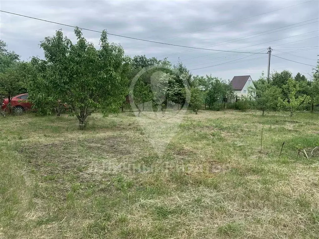 Участок в Рязанская область, Рязань Весна СТ, 365 (6.0 сот.) - Фото 2