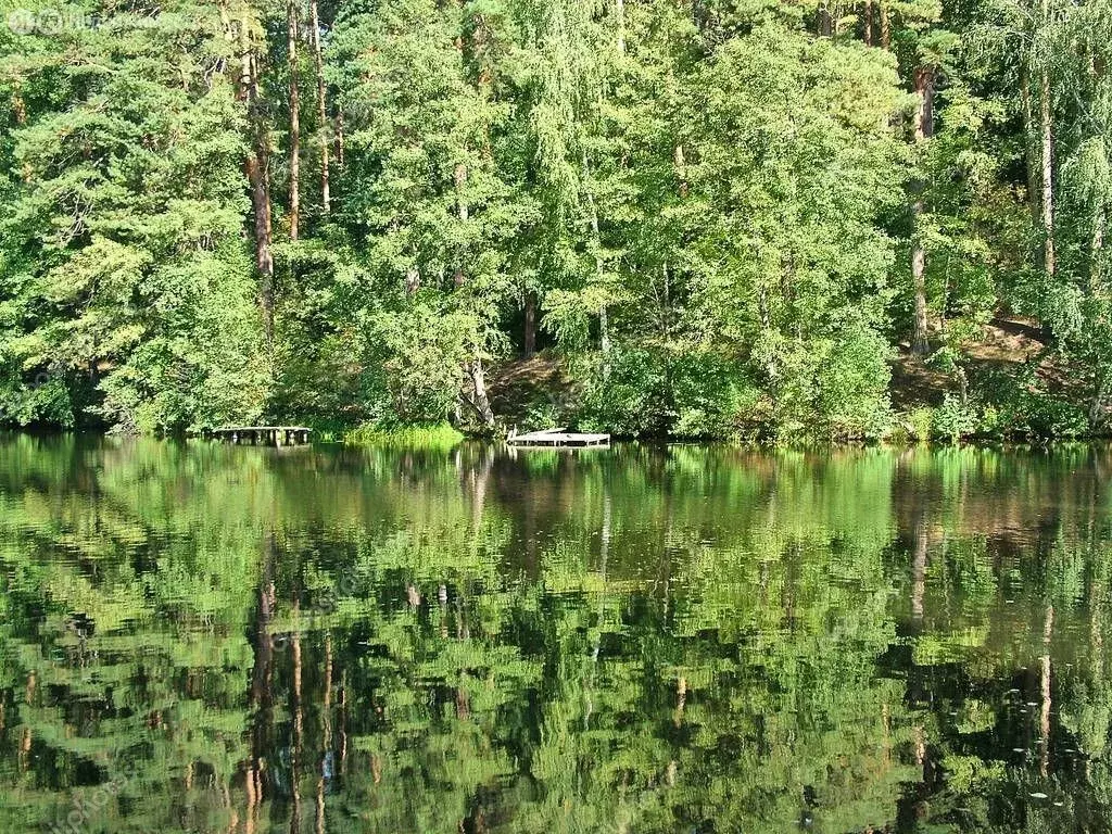 Участок в село Тулиновка, коттеджный посёлок Тулиновская Усадьба (8.96 ... - Фото 0
