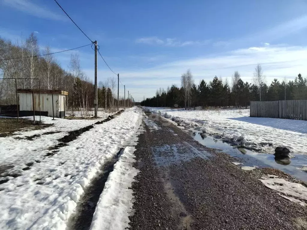 Участок в Курганская область, Шадринский муниципальный округ, с. Ключи ... - Фото 0