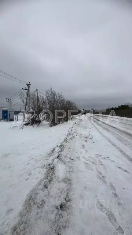 Участок в Свердловская область, Слободо-Туринский район, ... - Фото 1
