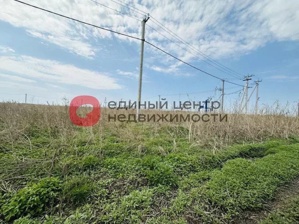 Участок в Тюменская область, Тюменский муниципальный округ, д. Большие ... - Фото 2