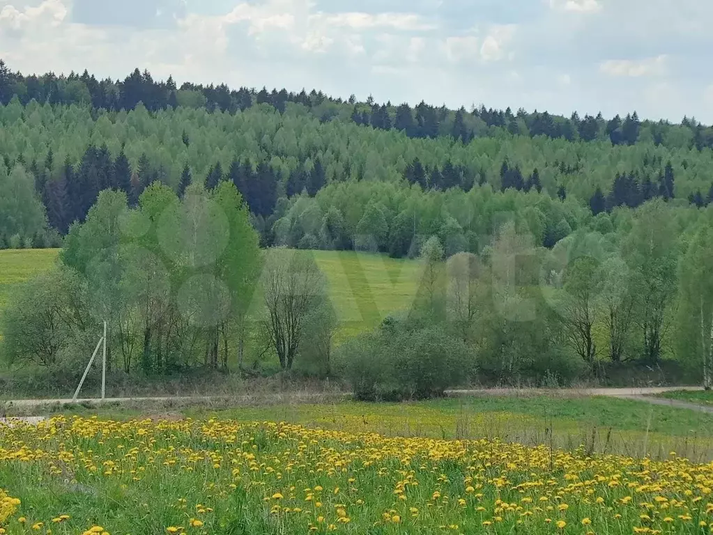 Участок 8,4 сот. (ИЖС) - Фото 1