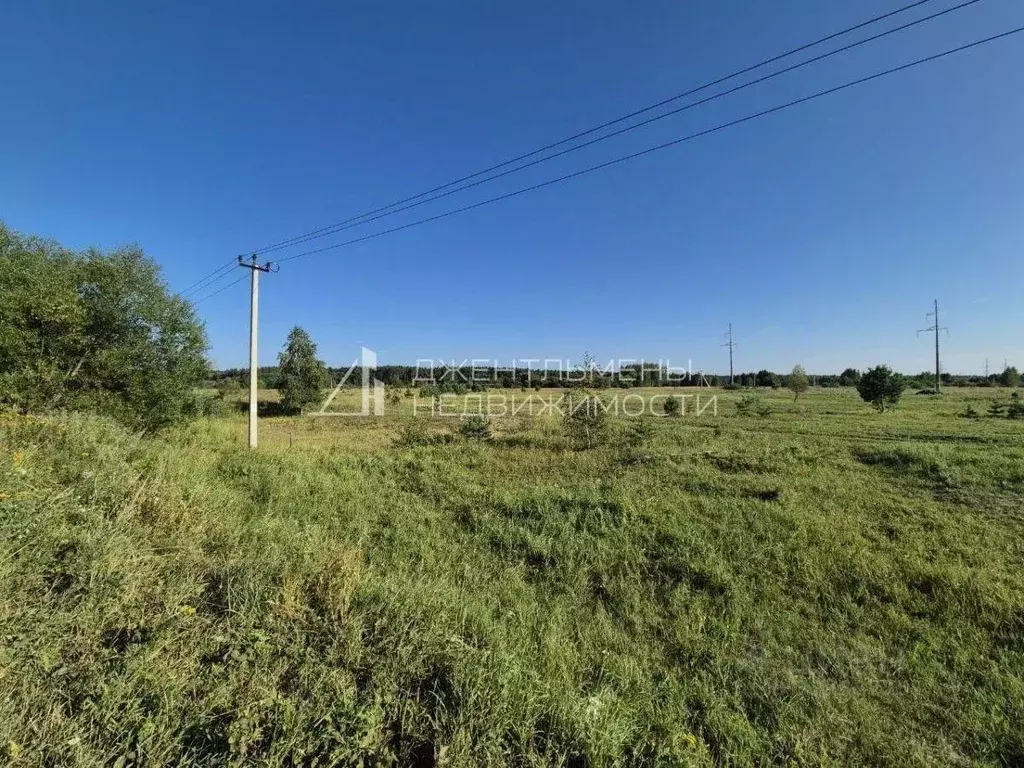 Участок в Пензенская область, Бессоновский район, пос. Подлесный  ... - Фото 2