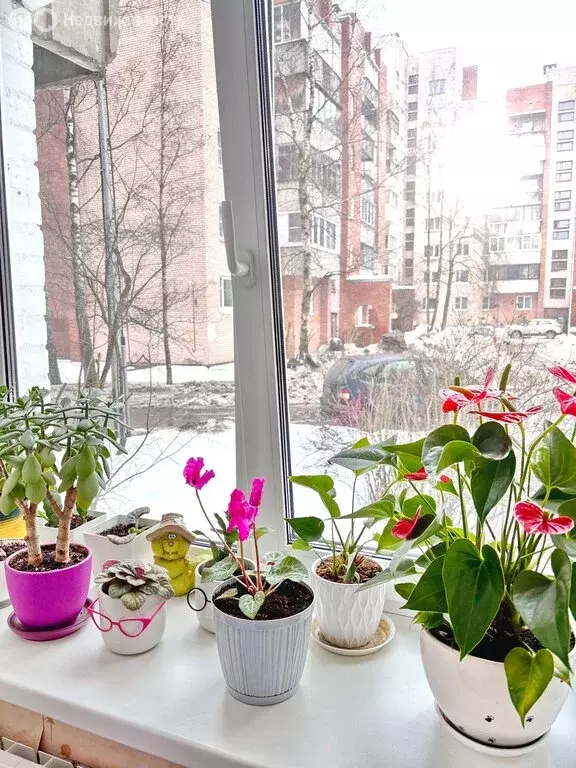 1-комнатная квартира: Петергоф, улица Шахматова, 4к1 (34 м) - Фото 1