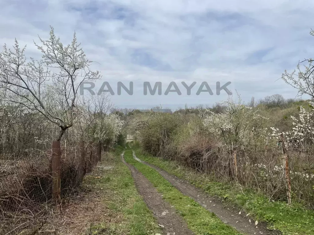 Участок в Адыгея, Майкоп Строитель СНТ, ул. Грушовая (5.0 сот.) - Фото 2