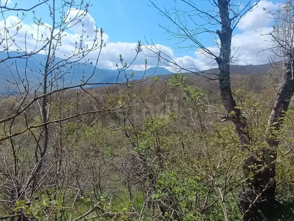 Участок в Крым, Алушта муниципальный округ, с. Изобильное ул. ... - Фото 2