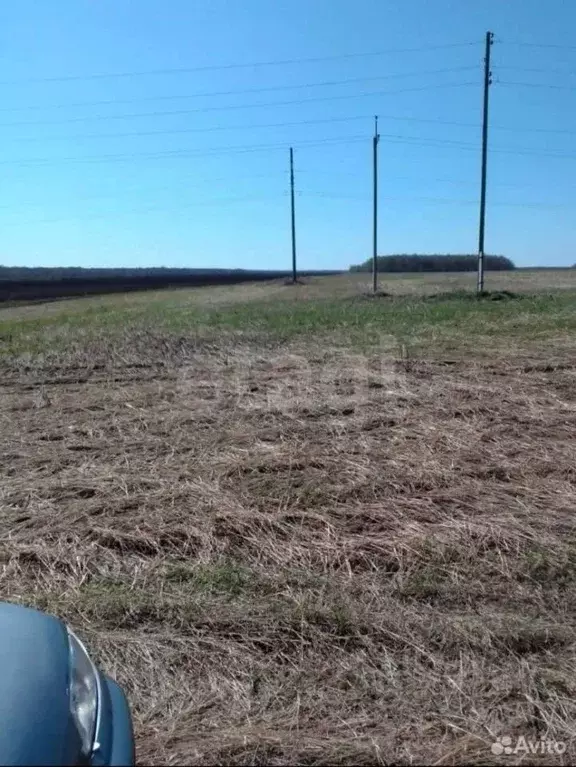 Участок в Свердловская область, Талицкий муниципальный округ, с. ... - Фото 2