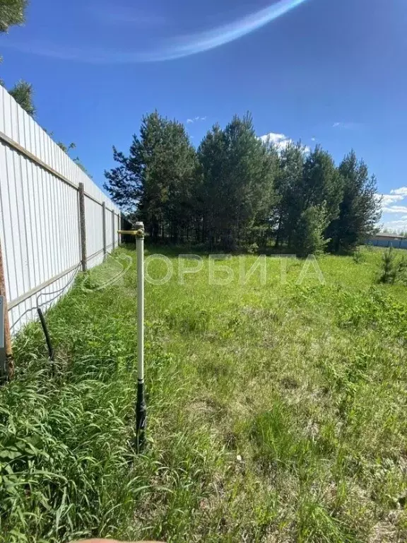 Участок в Тюменская область, Тюменский муниципальный округ, с. ... - Фото 2