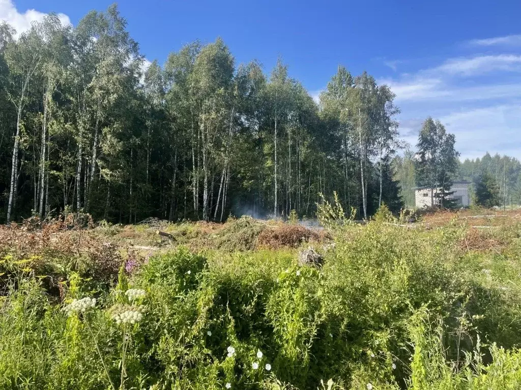 Участок в Ленинградская область, Выборгский район, Советское городское ... - Фото 0