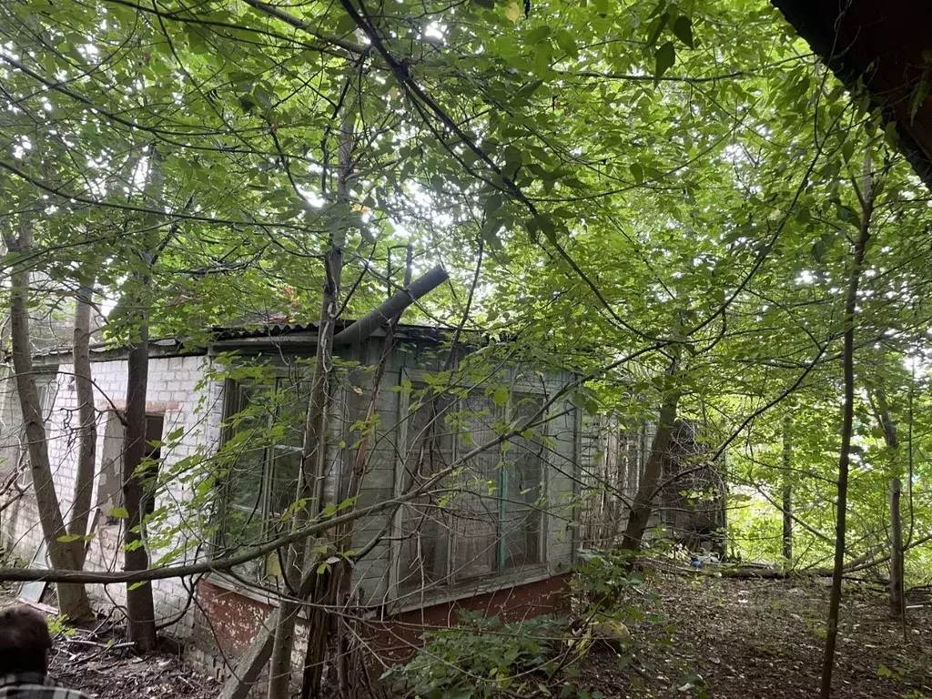 Помещение свободного назначения в Брянская область, Клинцы Октябрьская ... - Фото 1